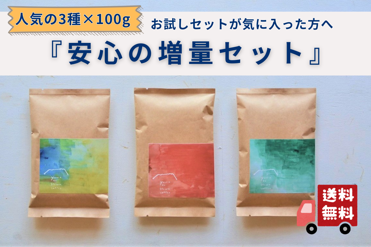 お試しセットが気に入った方へ《送料無料》人気の3種の安心増量セット
